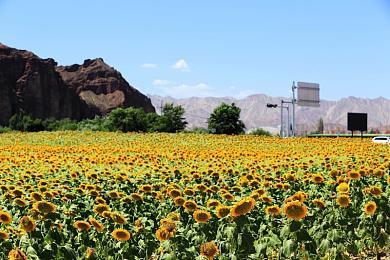 《博德之门：黑暗联盟》Steam国区涨价 从90元涨至191元