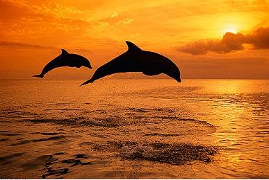 毫不意外：《黑色行动6》段位匹配又被外挂占领